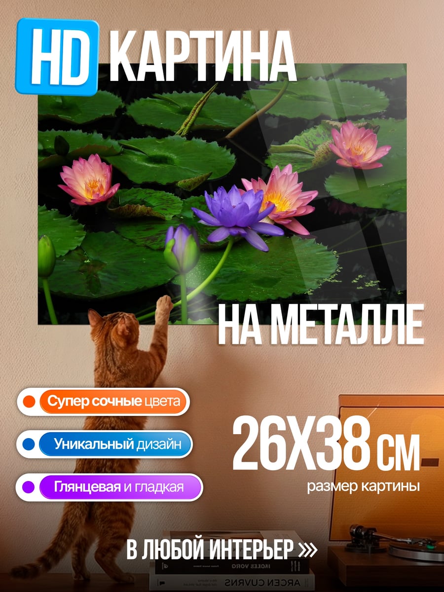 Картина на металле водяные лилии в пруду