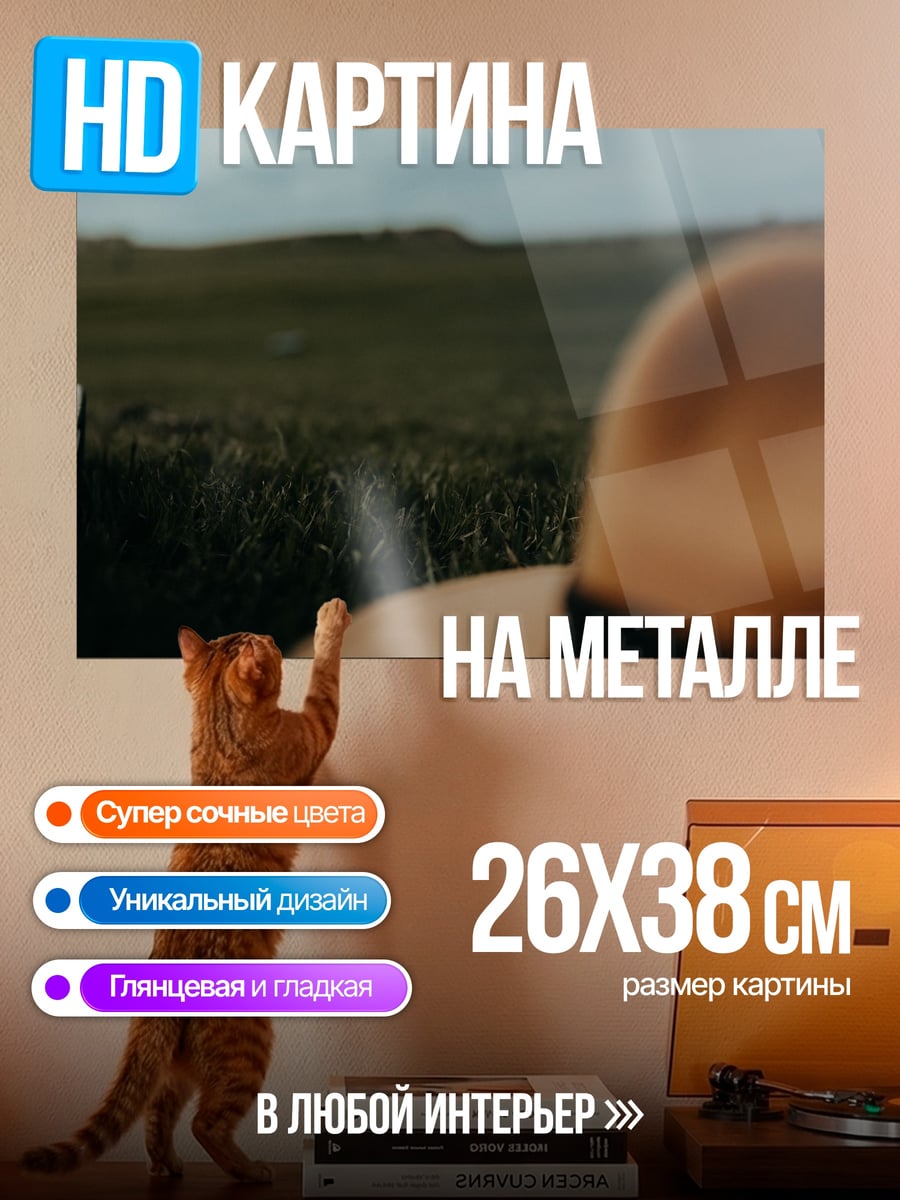 Картина на металле шляпа в поле