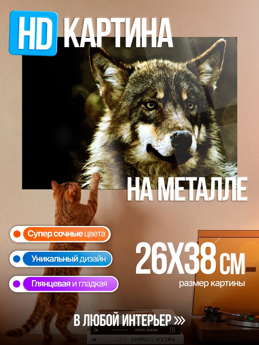 Картина на металле портрет волка