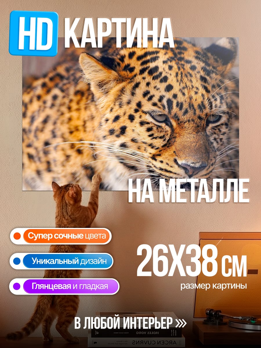Картина на металле Портрет леопарда