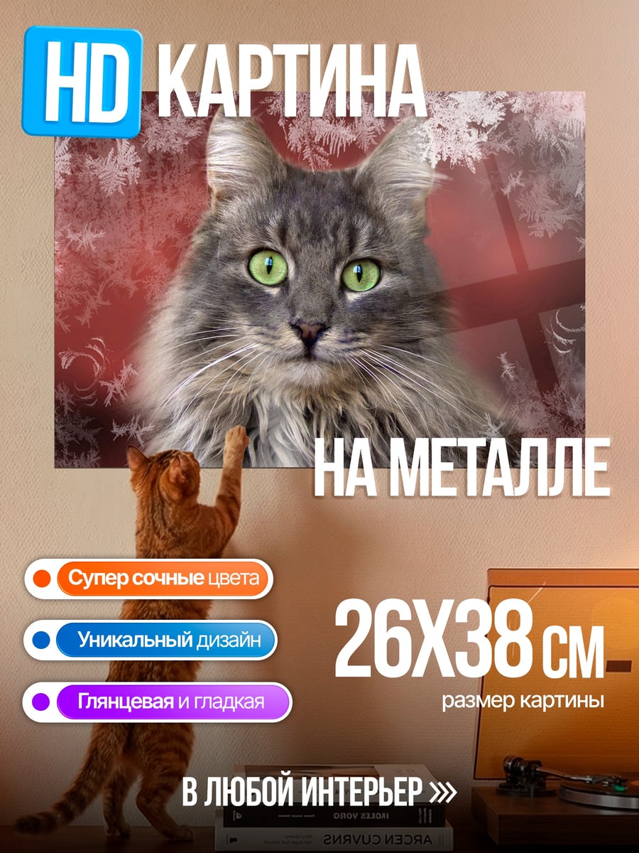 Картина на металле Пушистый кот