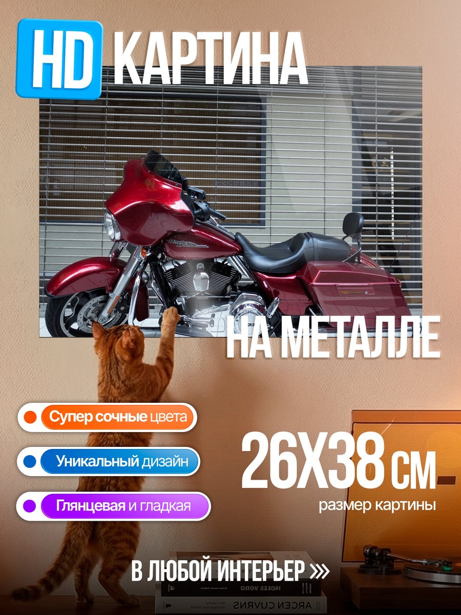 Картина на металле Красный мотоцикл