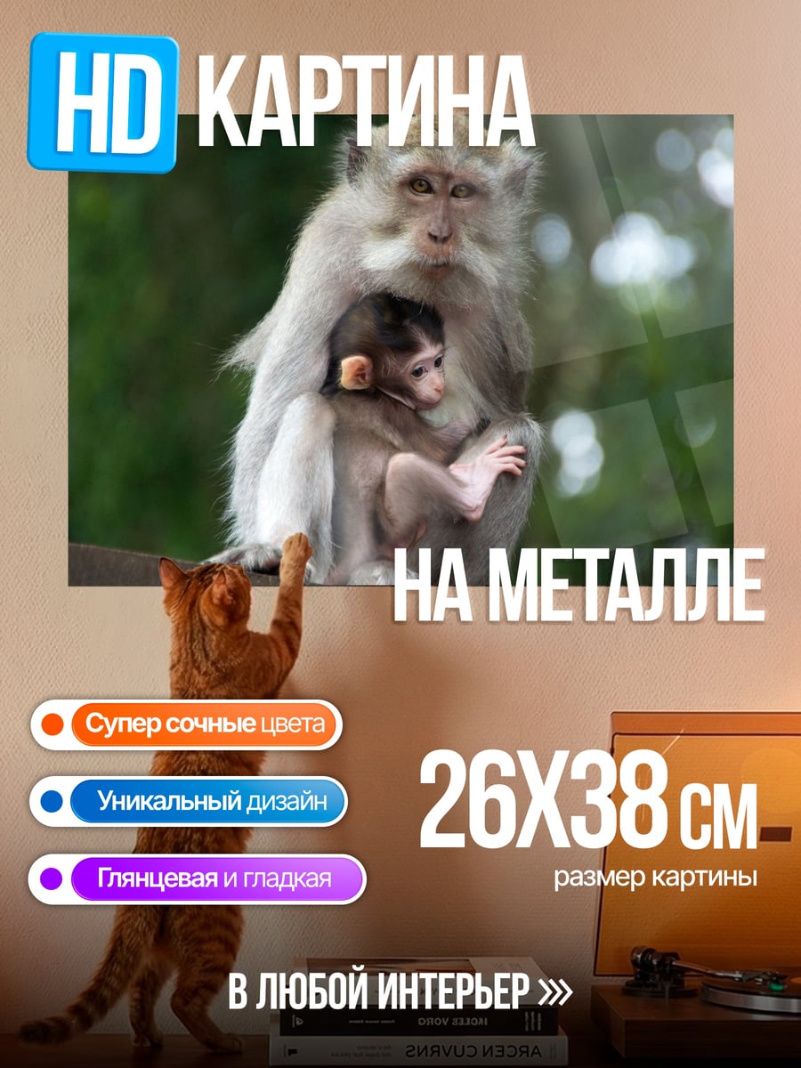 Картина на металле Мама обезьяна с детенышем