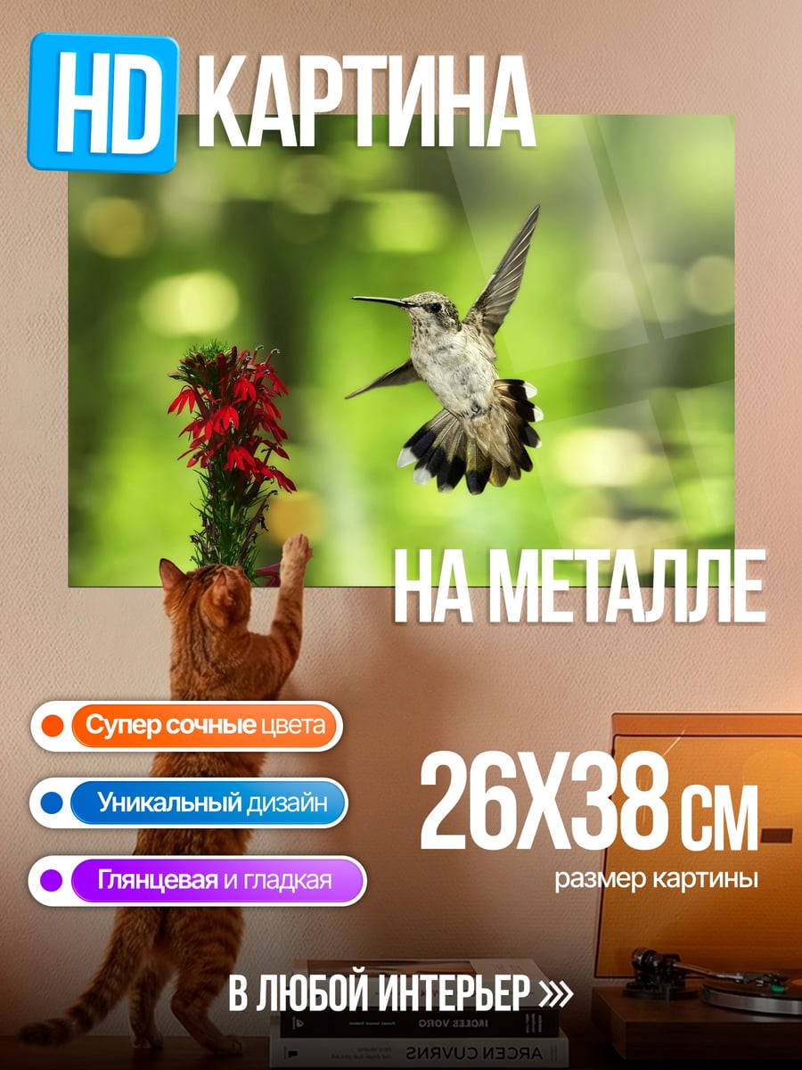 Картина на металле Колибри у цветка