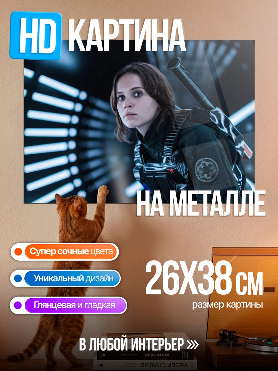 Картина на металле Девушка из Звёздных войн