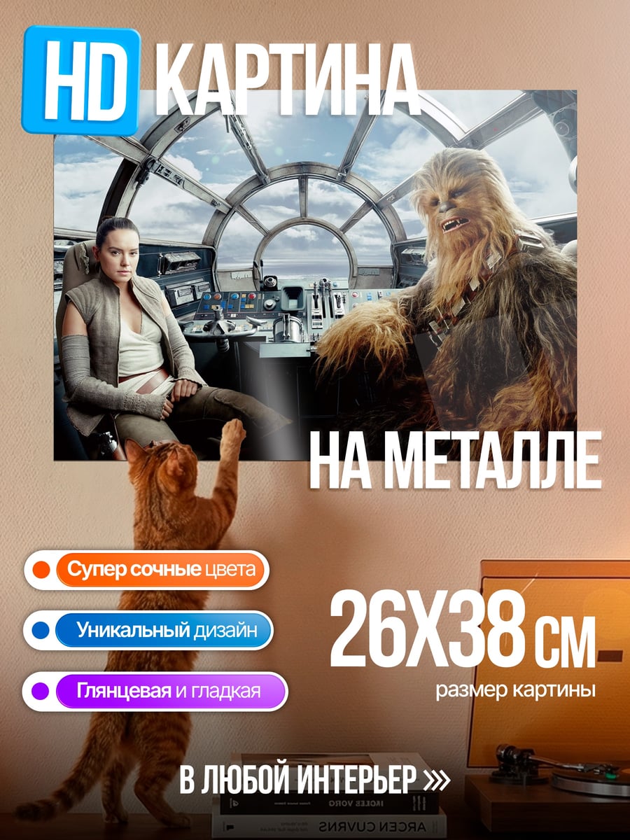 Картина на металле Рей и Чубакка