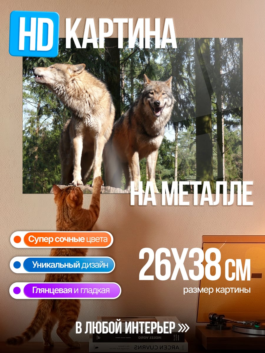 Картина на металле Два волка на пне