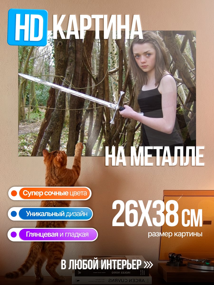 Картина на металле Девушка с мечом