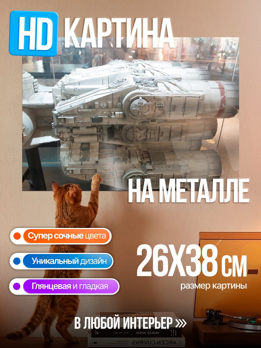 Картина на металле Модель космического корабля