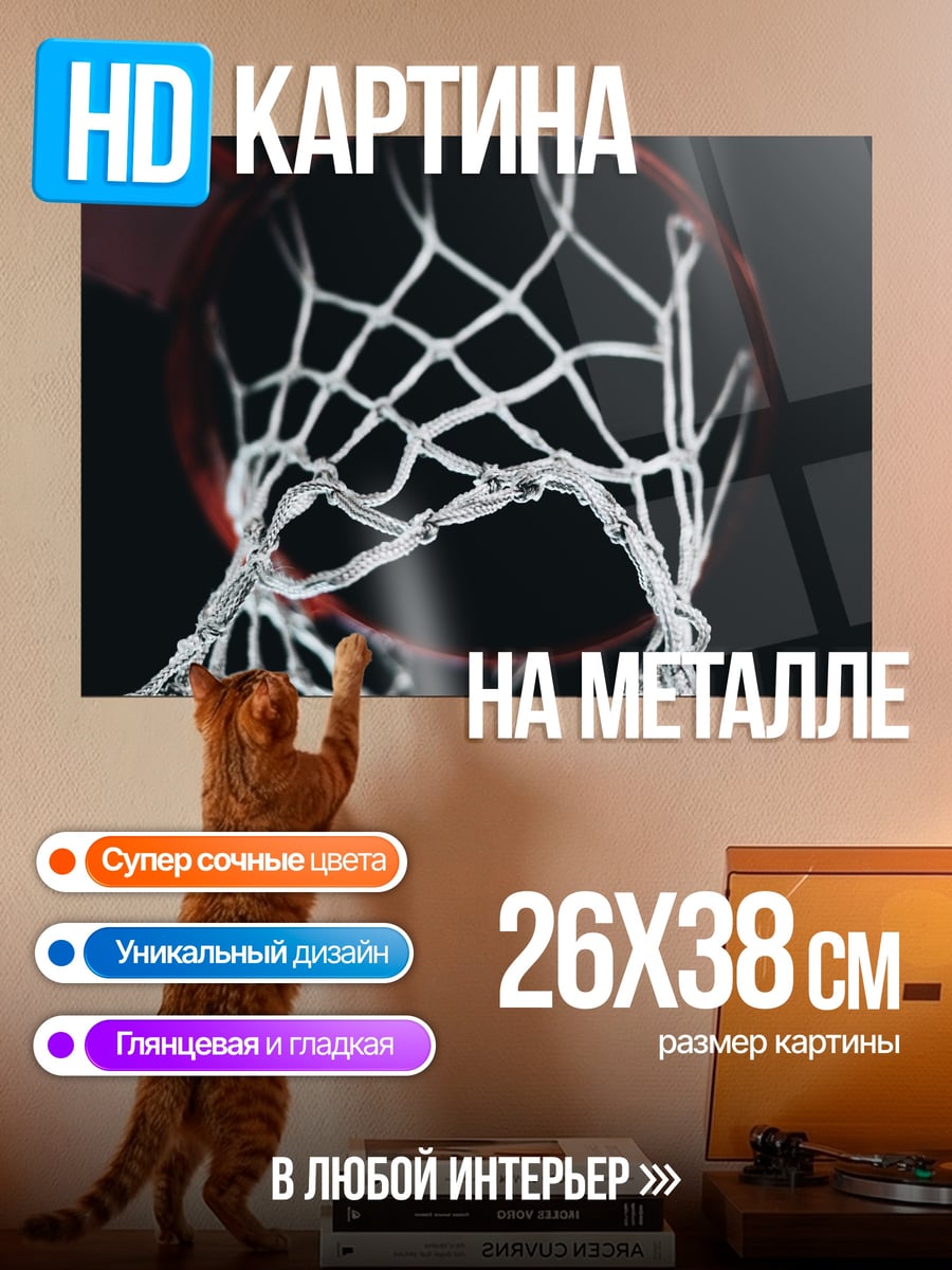 Картина на металле Баскетбольное кольцо крупным планом