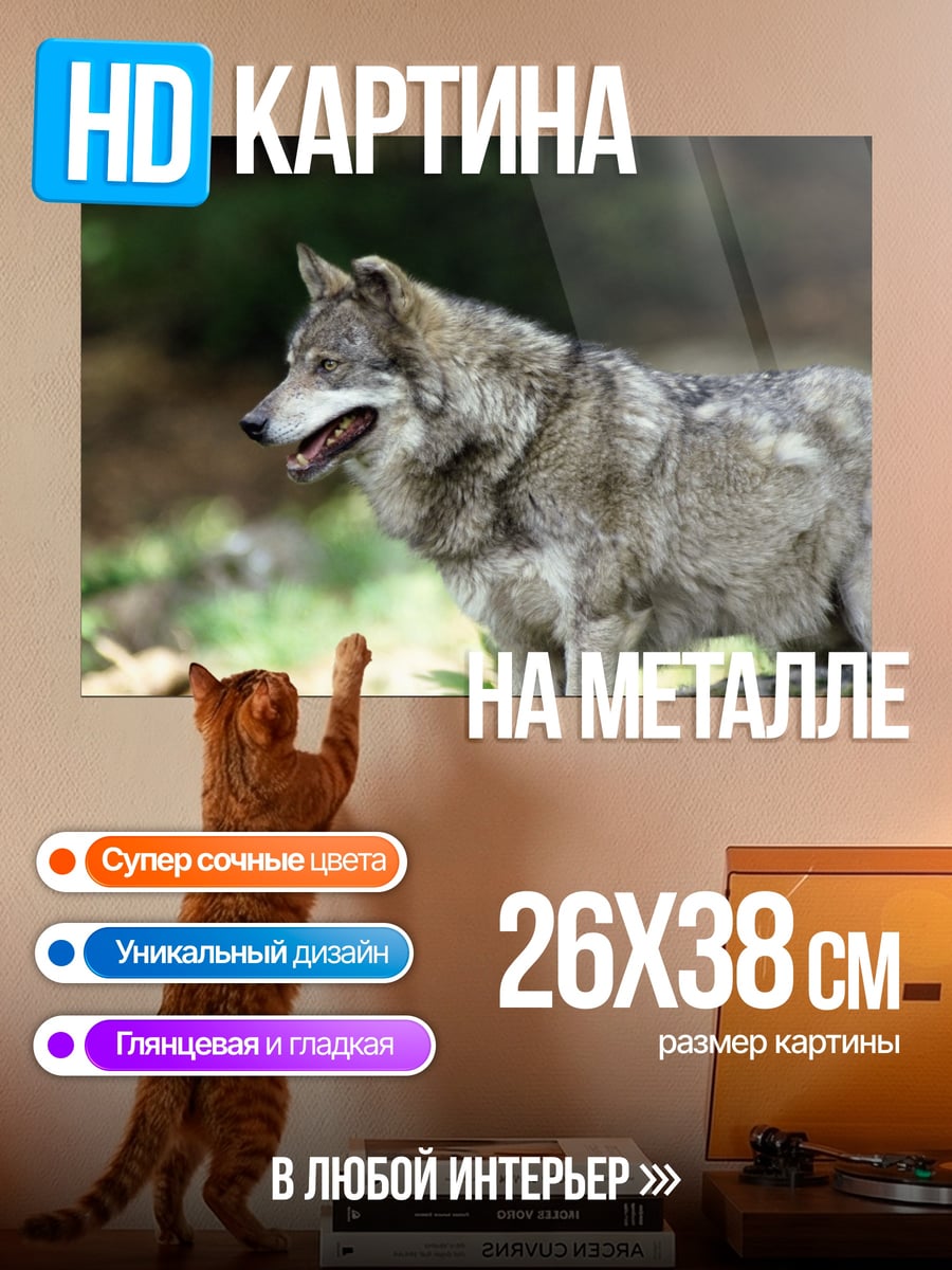 Картина на металле серый волк