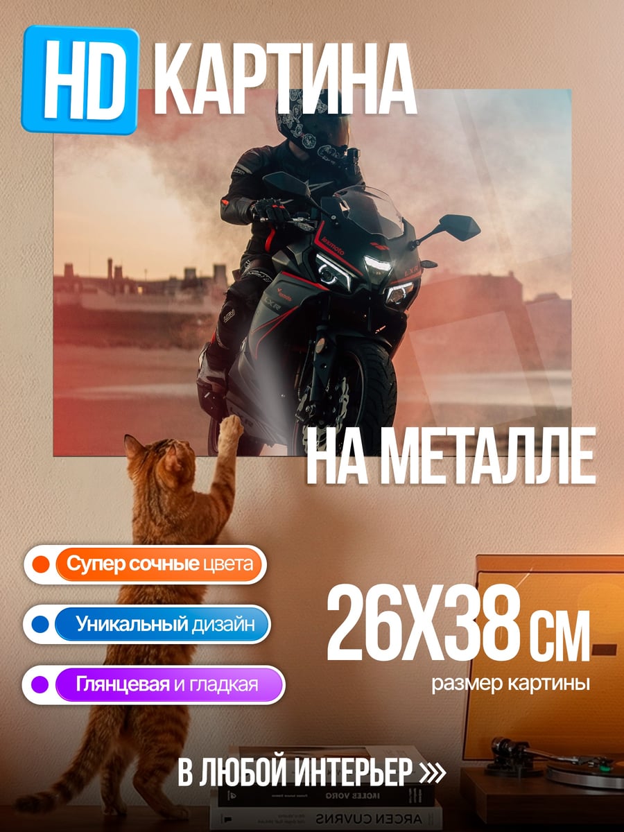 Картина на металле Мотоциклист на пляже