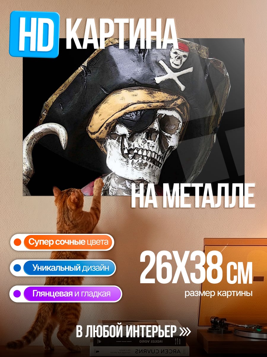 Картина на металле скелет пирата