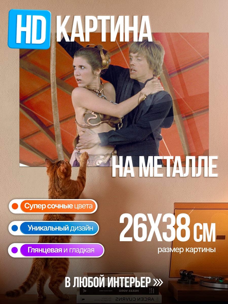 Картина на металле Люк и Лея