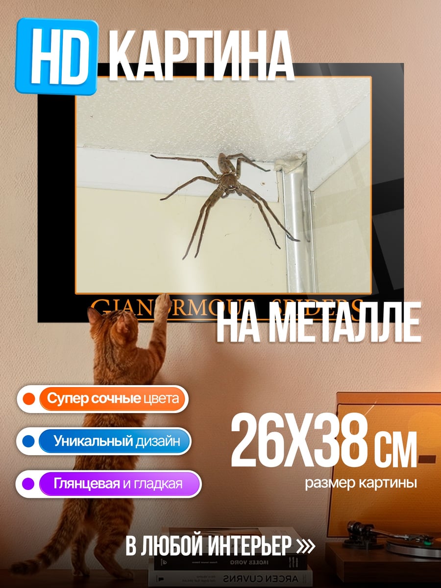 Картина на металле Гигантский паук