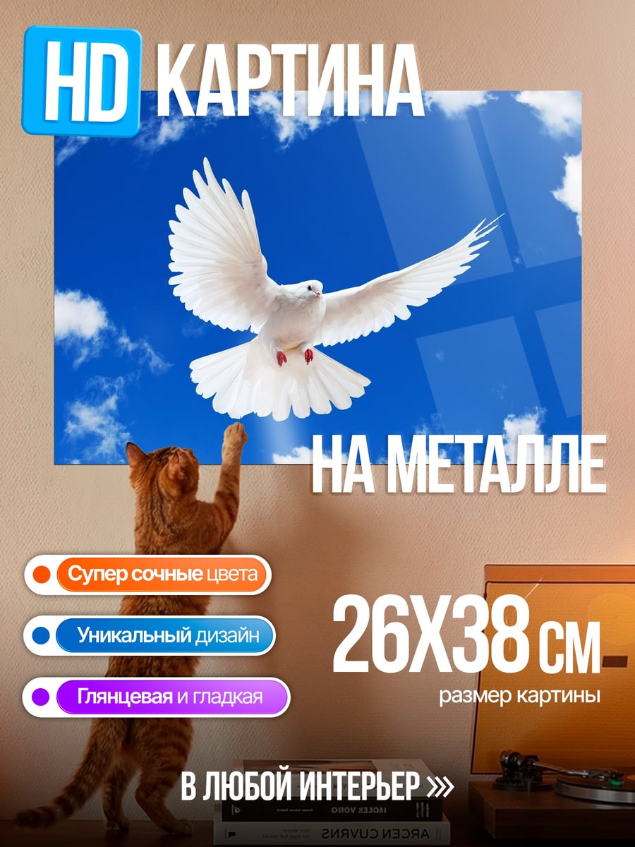 Картина на металле Белый голубь небе