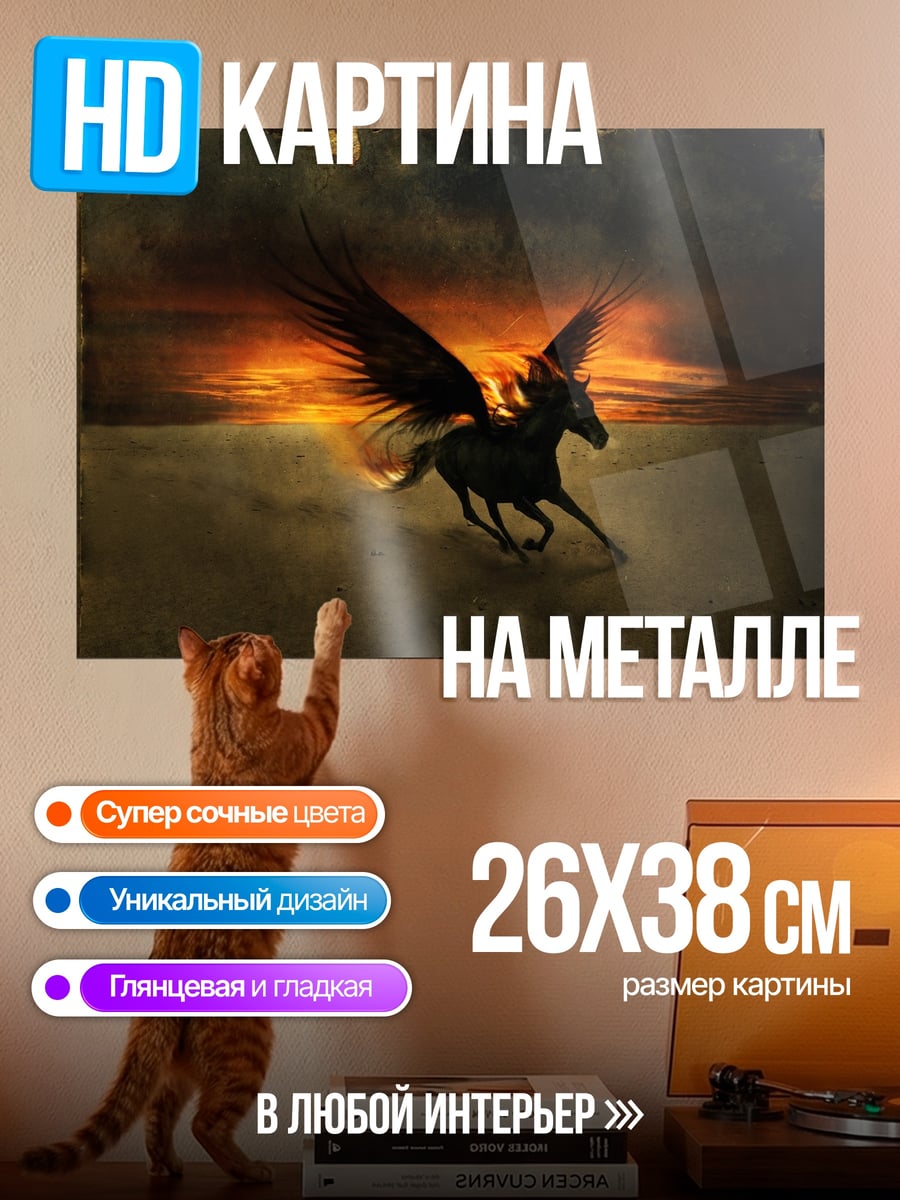 Картина на металле Черный Пегас