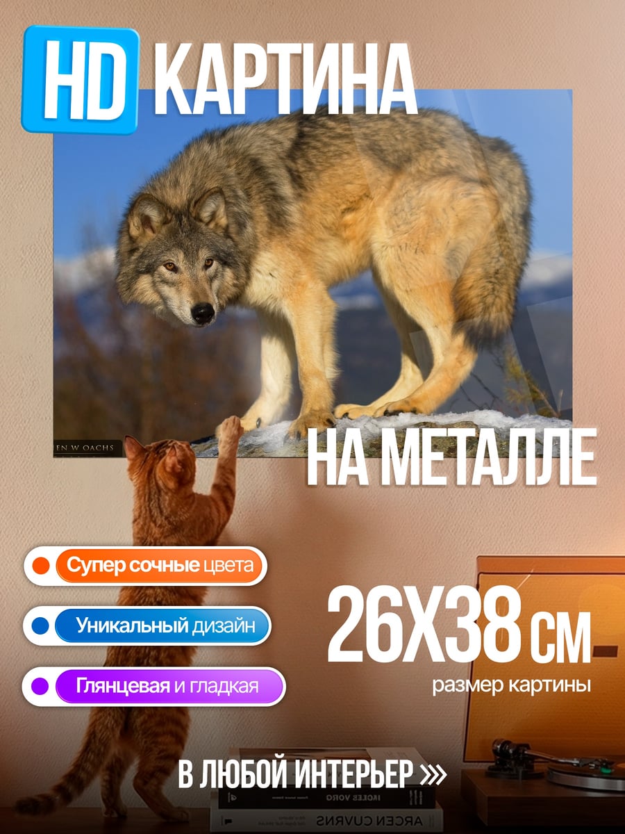 Картина на металле Одинокий волк