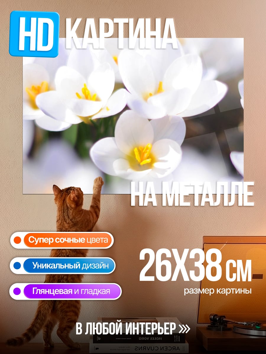 Картина на металле Белые крокусы