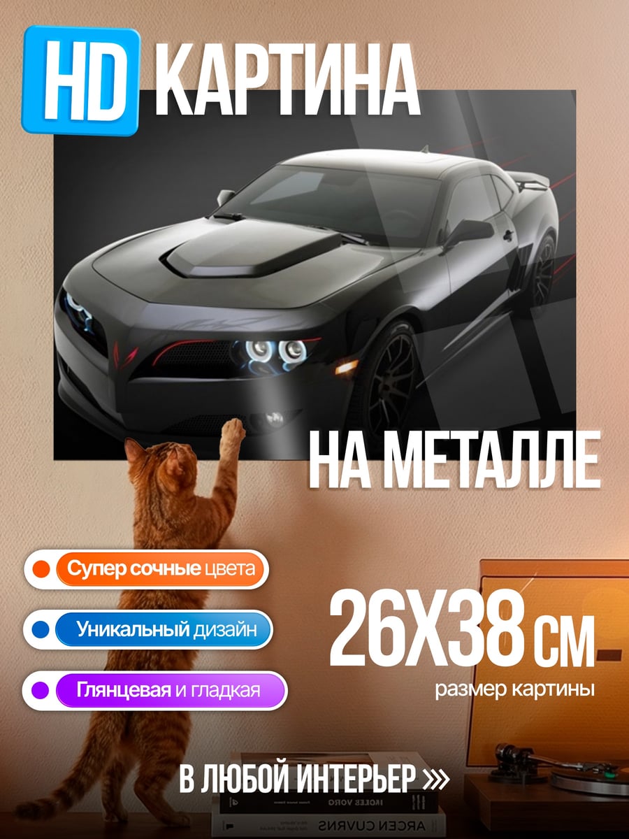 Картина на металле Черный маслкар