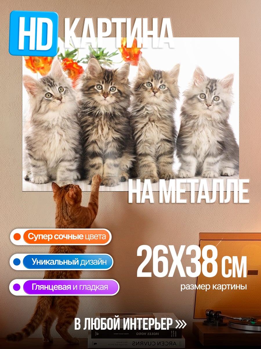 Картина на металле Четыре котенка