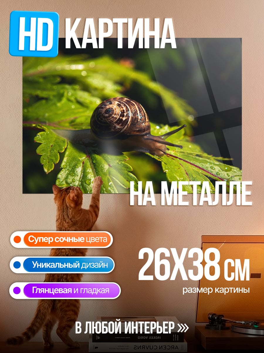 Картина на металле Улитка на листе