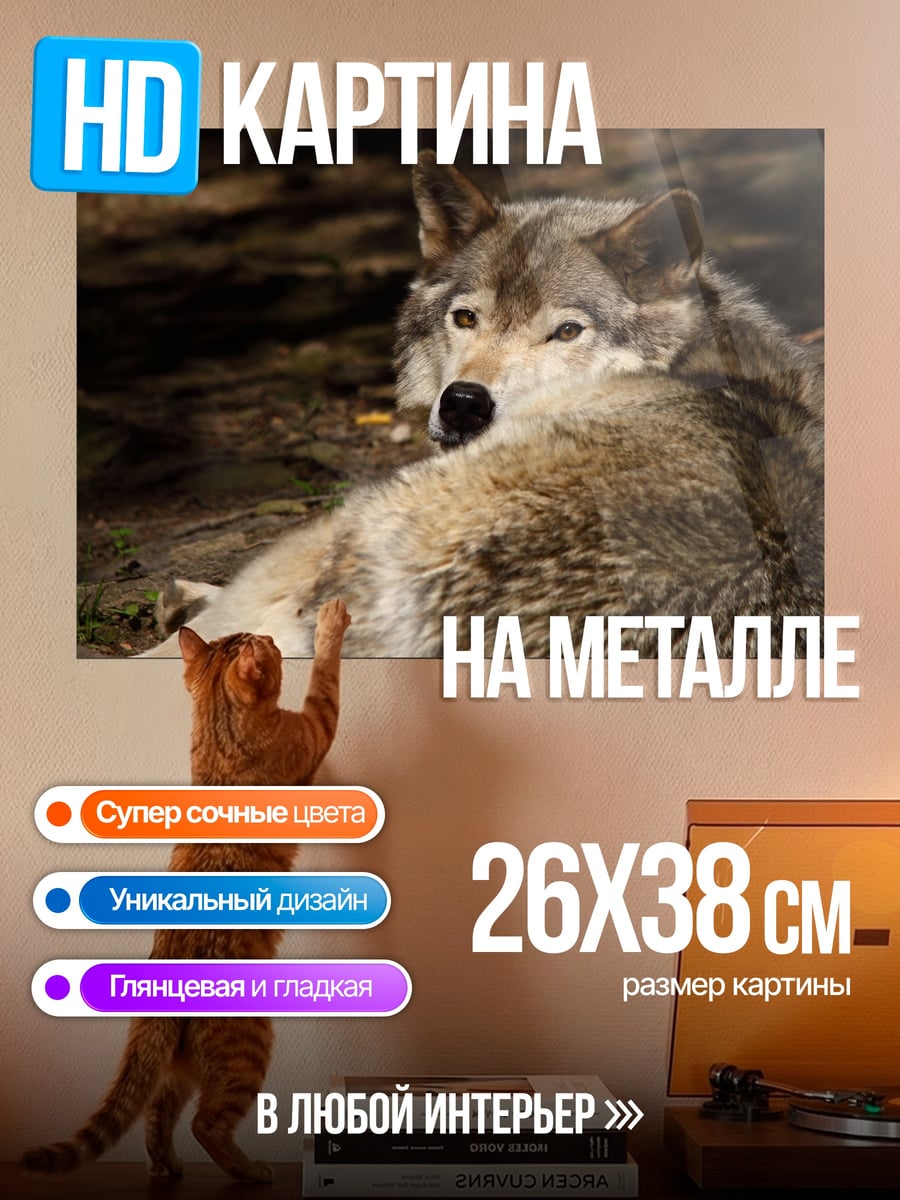 Картина на металле Лежащий волк