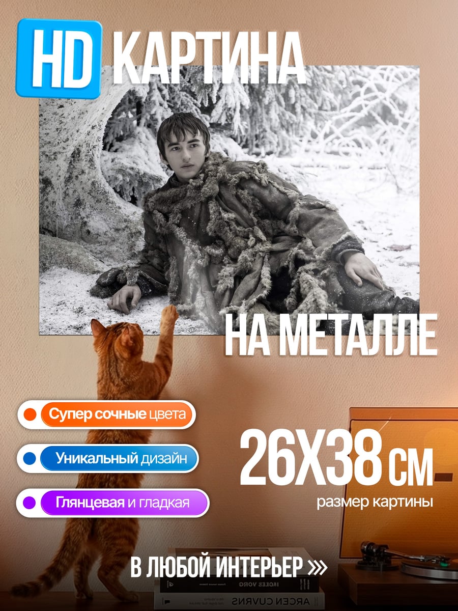 Картина на металле Бран Старк