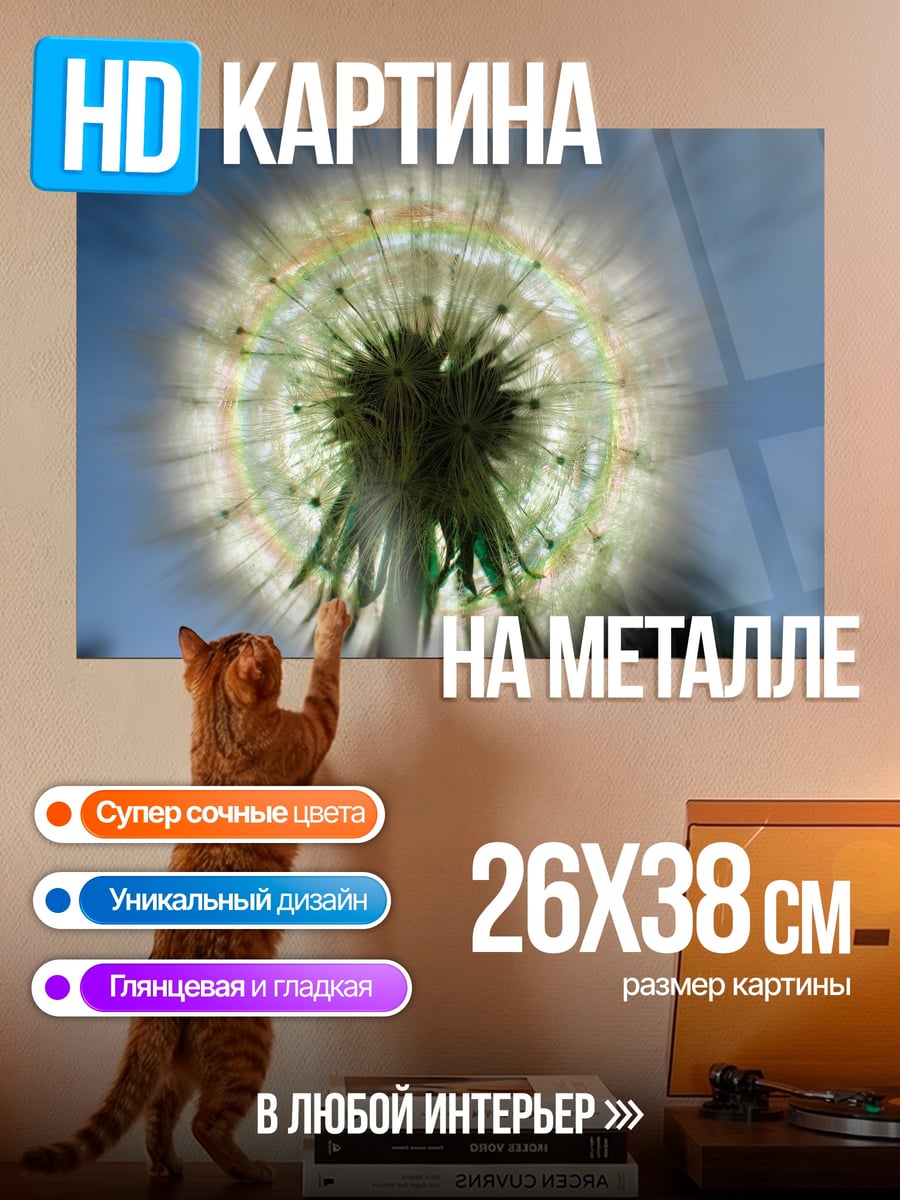 Картина на металле Одуванчик на закате