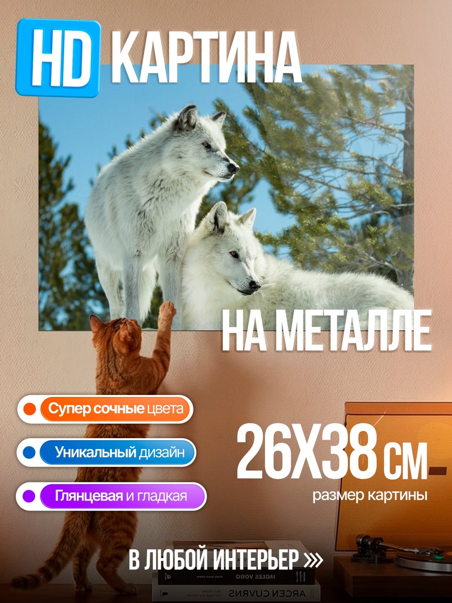 Картина на металле Белые волки зима