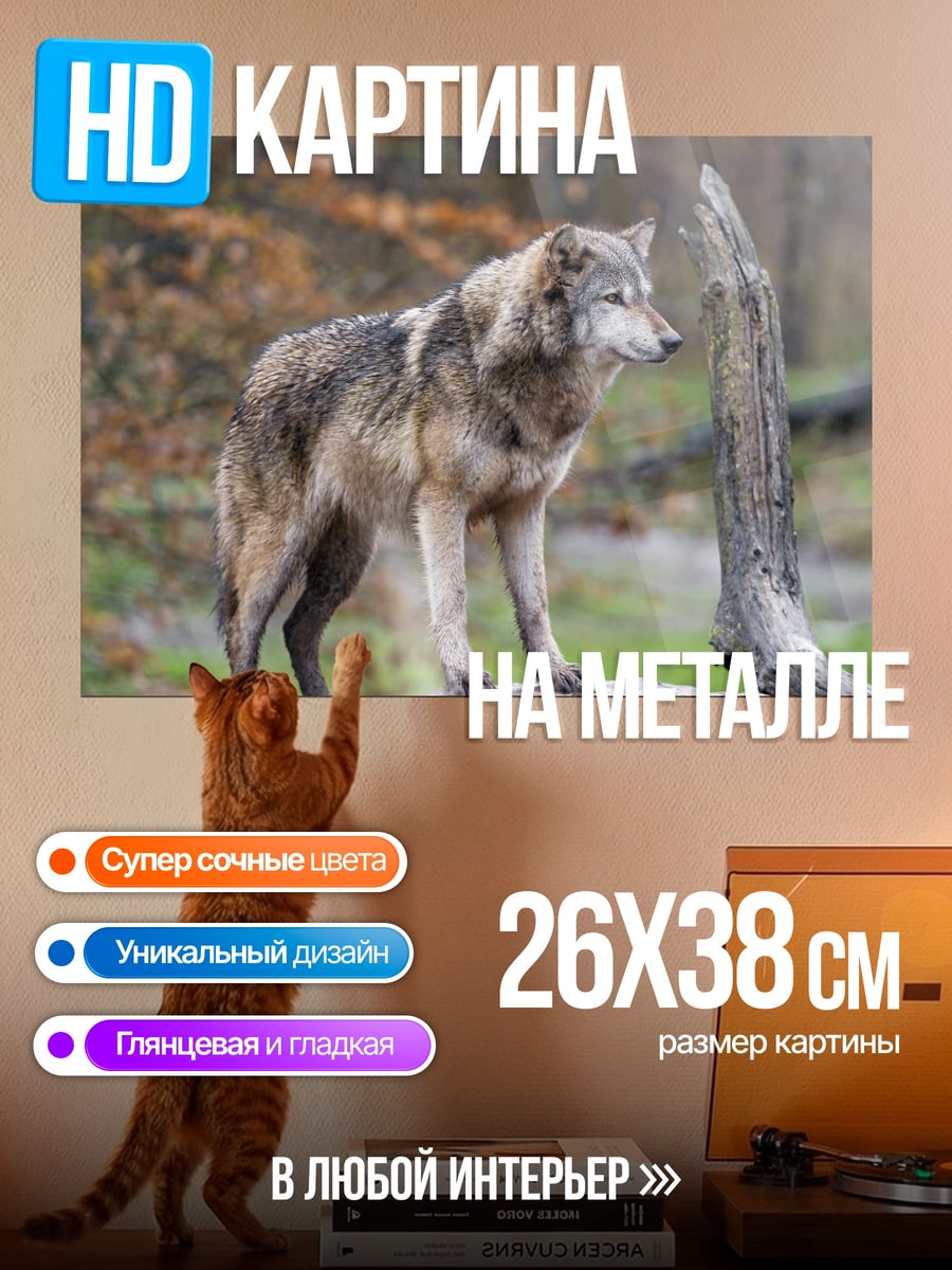 Картина на металле серый волк