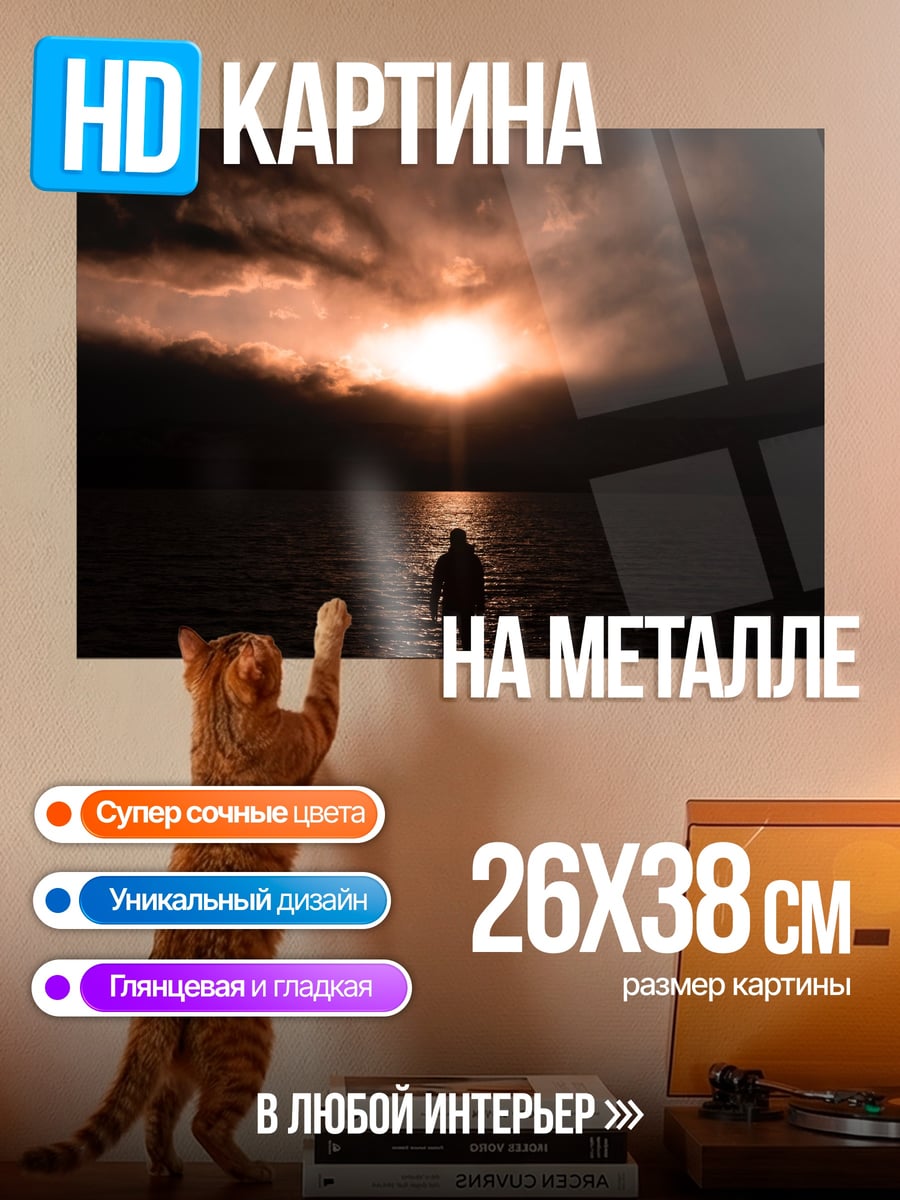 Картина на металле Одиночество на закате