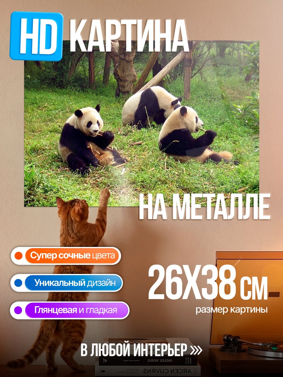 Картина на металле Три панды на траве