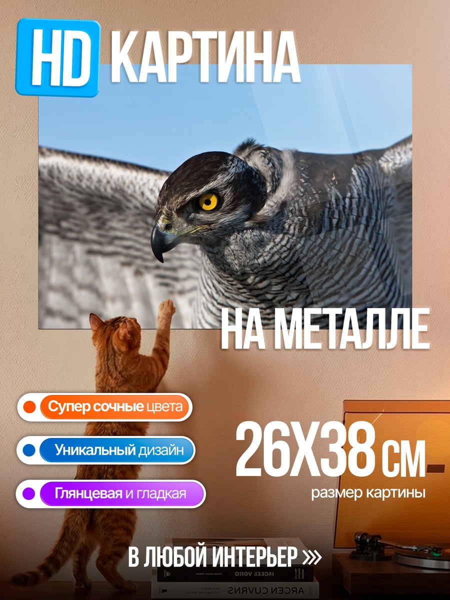 Картина на металле Ястреб в полете