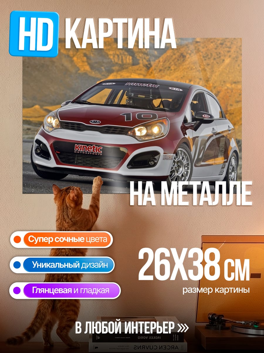 Картина на металле Гоночный Kia Rio