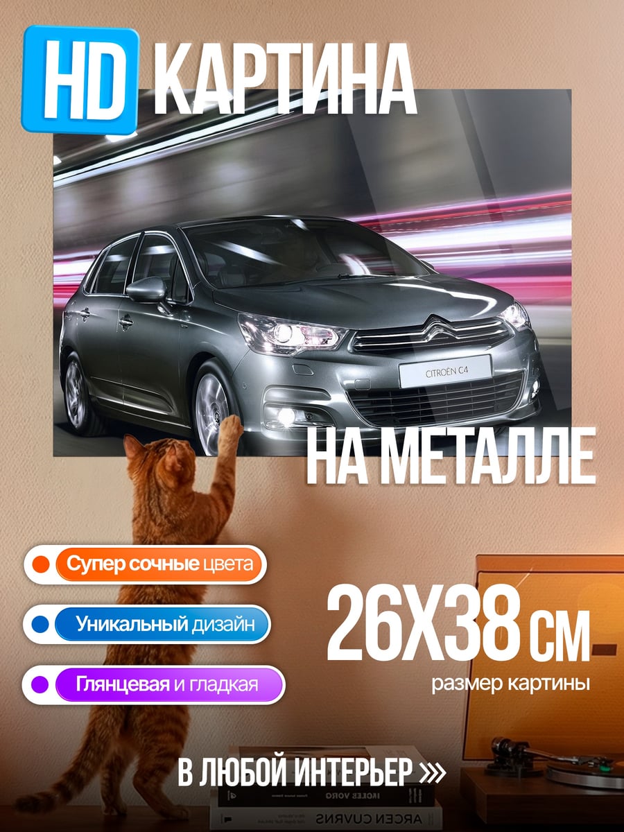 Картина на металле Citroen C4 на дороге
