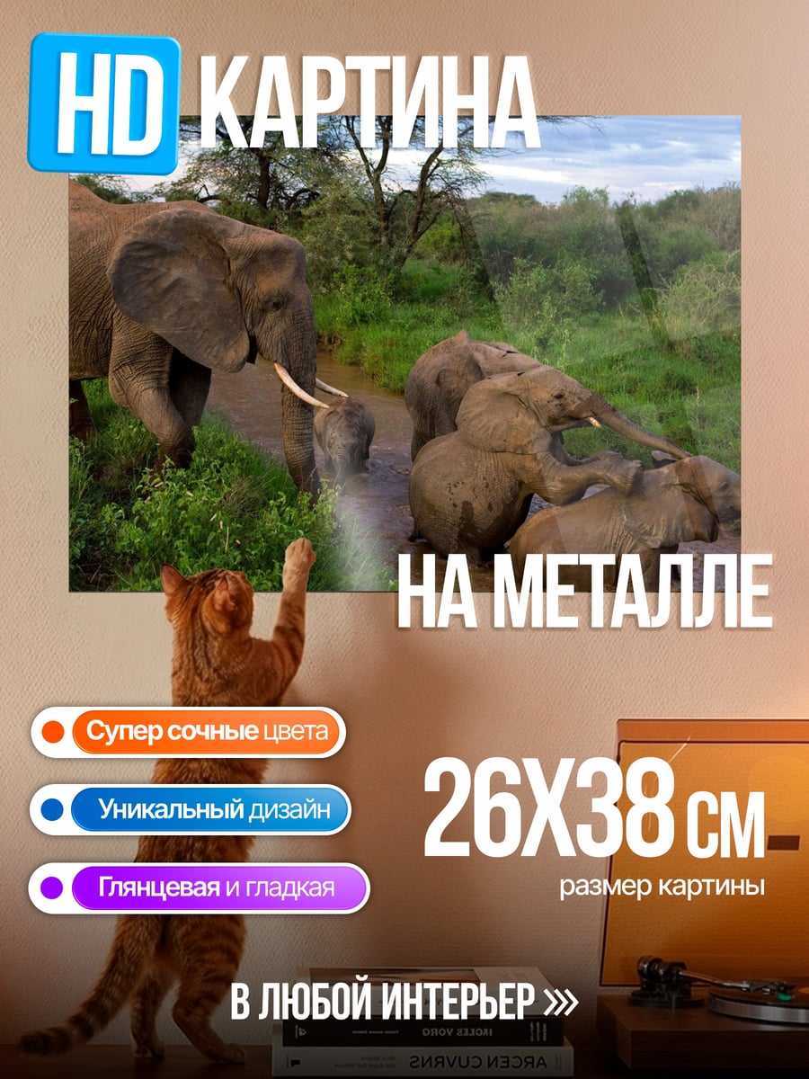Картина на металле Слоны у водопоя