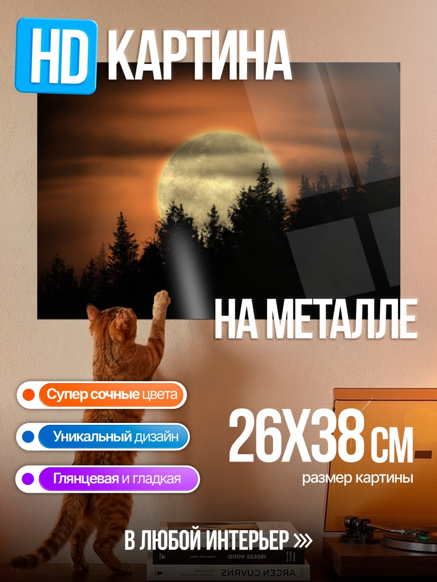 Картина на металле Закат над лесом