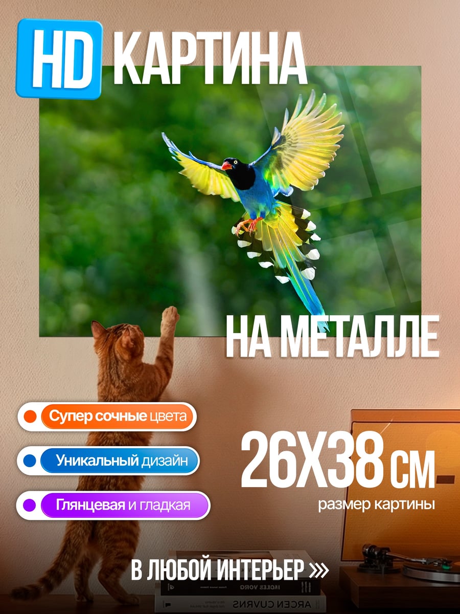 Картина на металле летающая птица