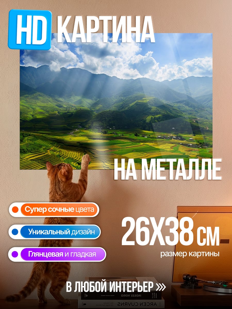 Картина на металле Зеленые рисовые террасы