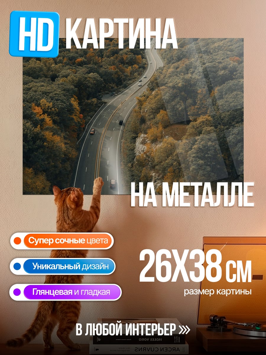 Картина на металле Осенняя дорога