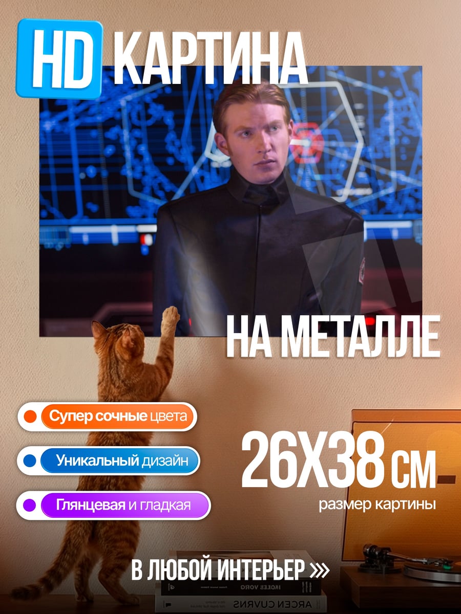Картина на металле имперский офицер