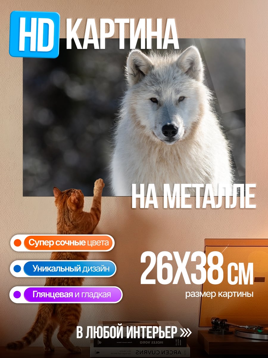 Картина на металле белый волк