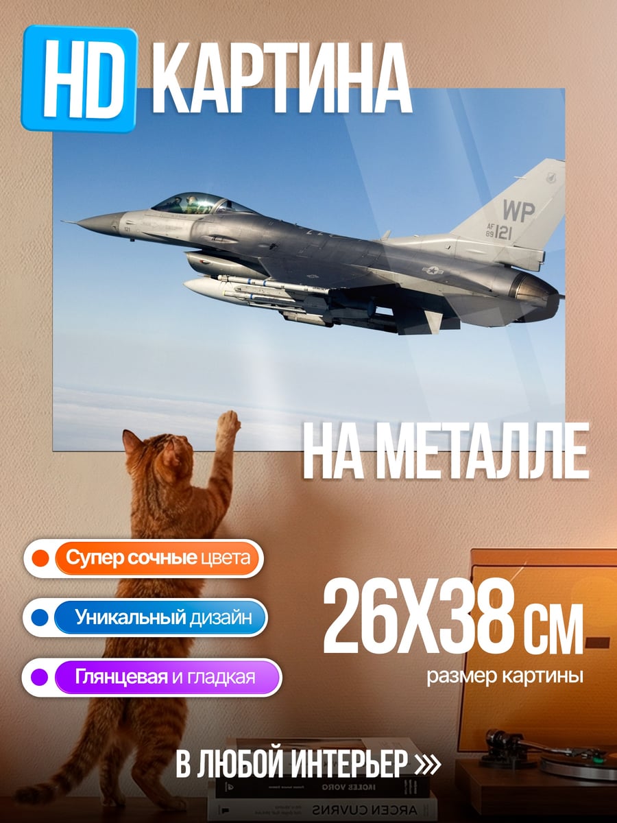 Картина на металле Истребитель в небе