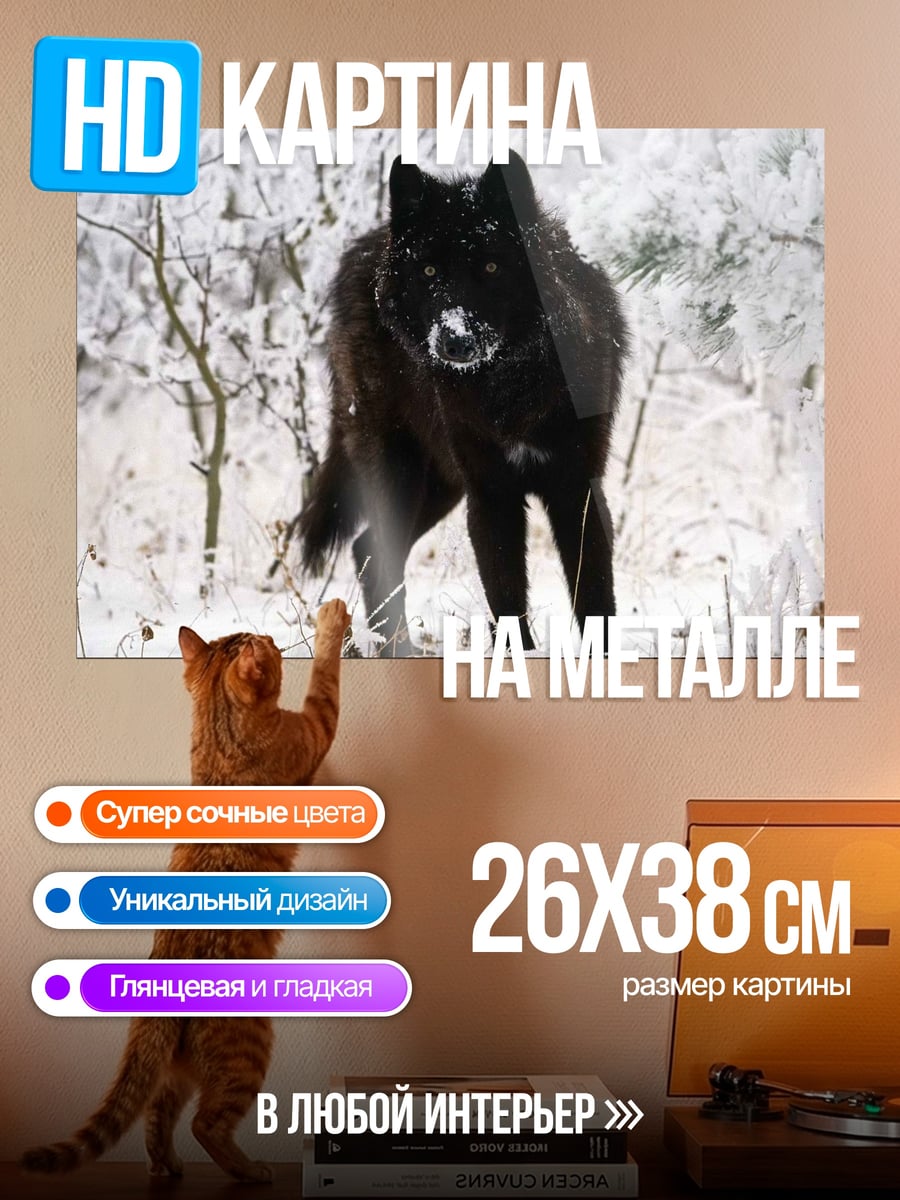 Картина на металле Черный волк зимой