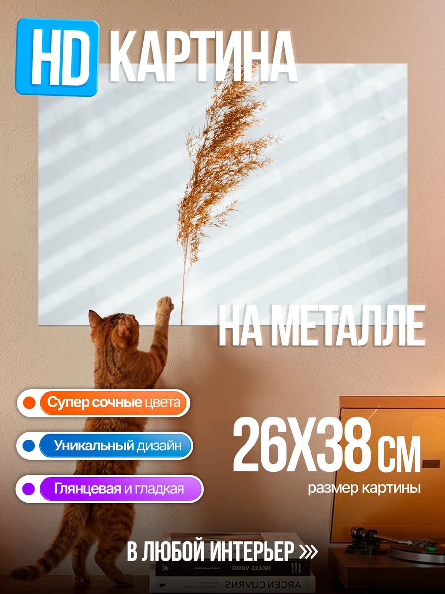 Картина на металле Сухая трава в руке