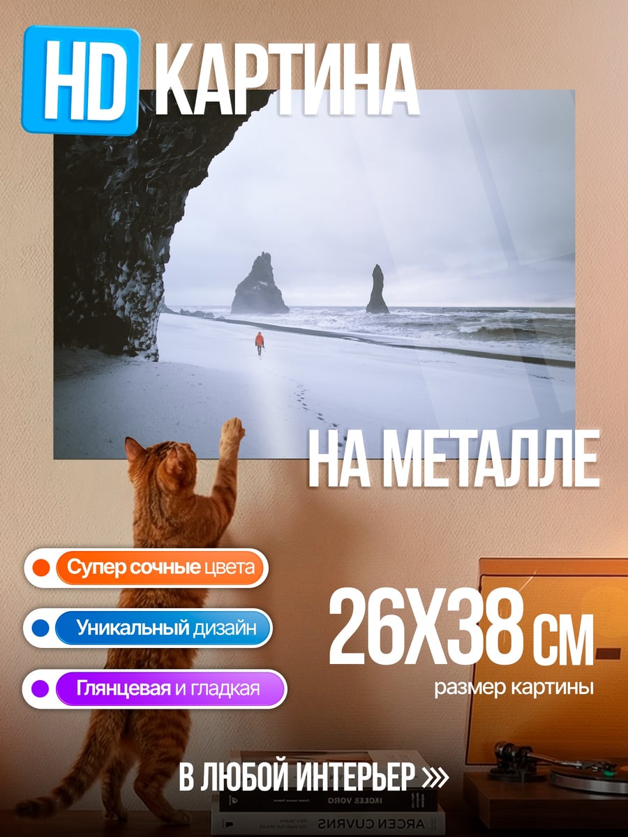 Картина на металле Следы на снегу