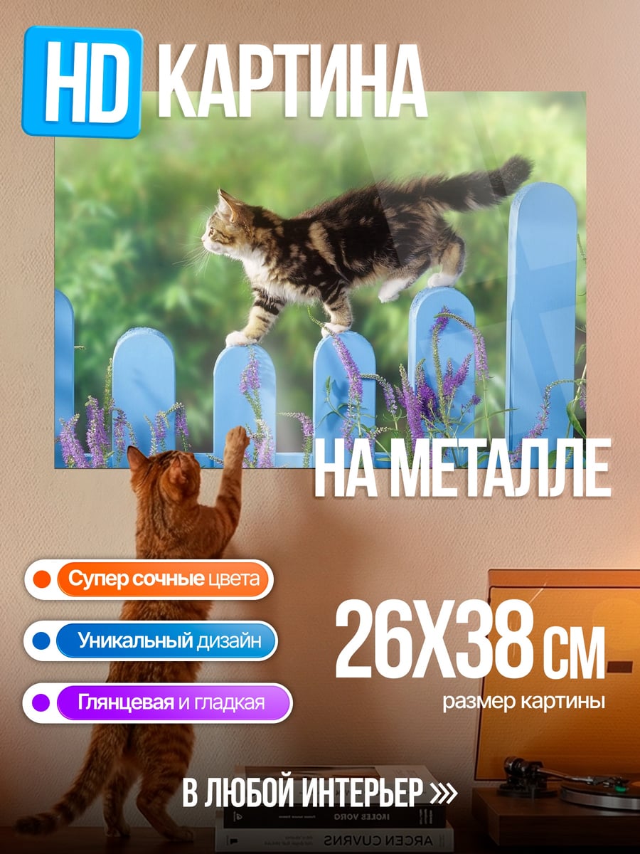 Картина на металле Кот на заборе