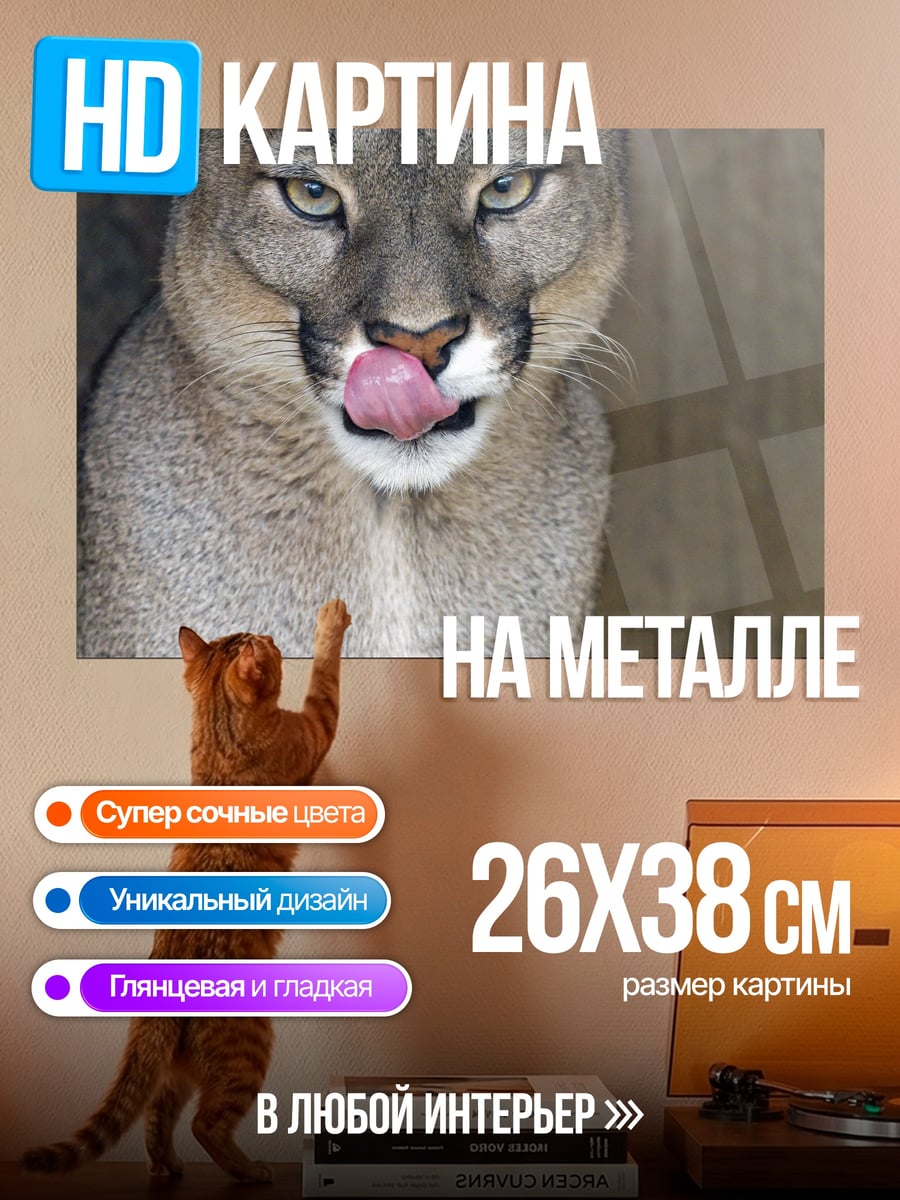 Картина на металле Пума облизывается