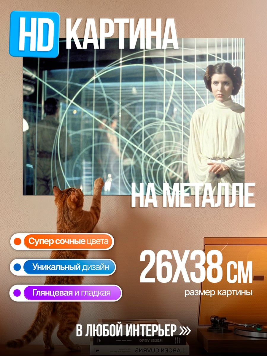Картина на металле Принцесса Лея